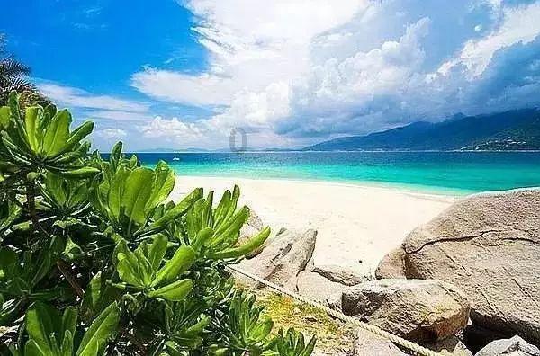沪江开心词场